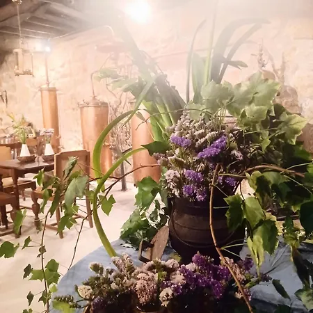 Farm stay Casario Do Vale E Eventos