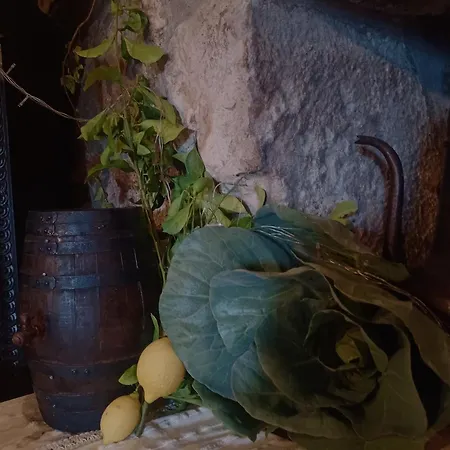 בית חווה Casario Do Vale E Eventos