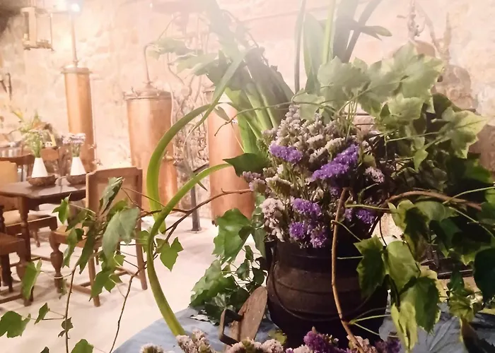 Farm stay Casario Do Vale E Eventos