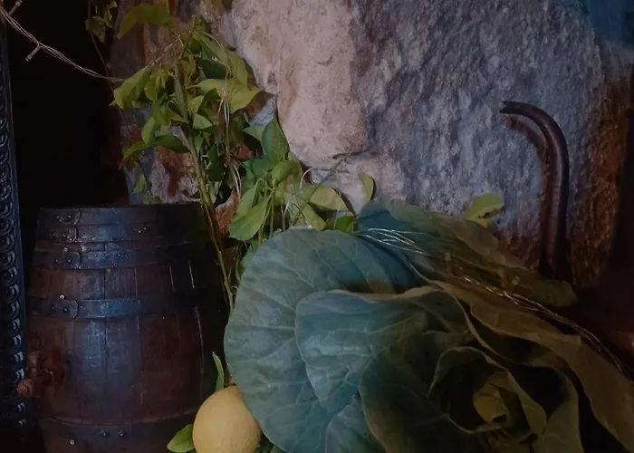 Farm stay Casario Do Vale E Eventos